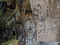 Natur kommt zurück  Voelklinger Huette