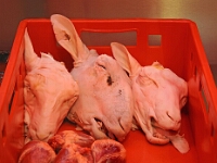 Bilder aus der Stadt  UT_Mulhouse; Basel; März 2025 : UT_Mulhouse, Basel, März 2025