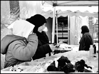 Bilder aus der Stadt  UT_Mulhouse; Basel; März 2025 : UT_Mulhouse, Basel, März 2025