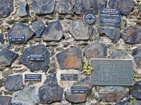 p4271157 1  seven_out