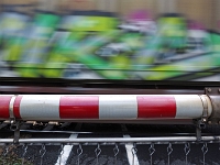 p4280018 1  seven_out