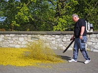 p4280053 1  seven_out