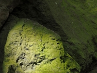 p4280124 1  seven_out