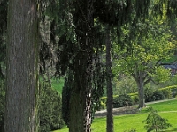 p4280172 1  seven_out