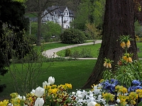 p4280180 1  seven_out