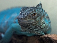 p4280234 1  seven_out