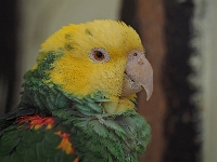 p4280258 1  seven_out