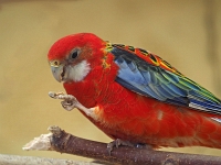 p4280263 1  seven_out