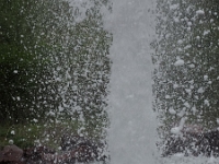 P4300181 1  seven_out