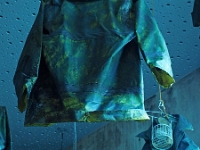 p4300081 1  seven_out