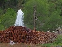 p4300156 1  seven_out