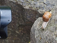 p4300182 1  seven_out