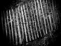 p4280112 sw 1  seven_out