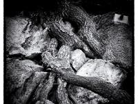 p4281181 sw 1  seven_out