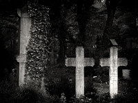 p4290395 sw 1  seven_out