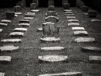 p4290398 sw 1  seven_out