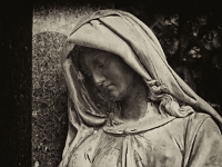 p4290418 sw 1  seven_out