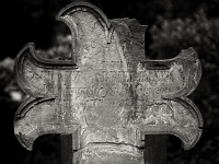 p4290462 sw 1  seven_out