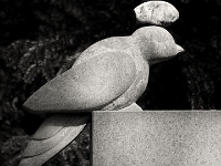 p4290468 sw 1  seven_out