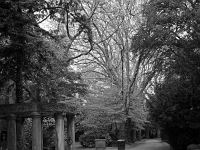 p4291207 1  seven_out