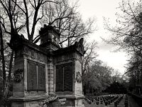 p4291212 sw 1  seven_out