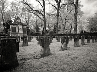 p4291217 sw 1  seven_out