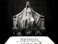 p4291222 sw 1  seven_out