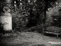 p4291228 sw 1  seven_out