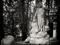 p4291231 sw 1  seven_out