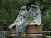 p4290379 1  seven_out