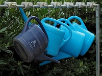 p4290408 1  seven_out