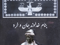 p4290419 1  seven_out