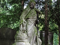 p4290425 1  seven_out