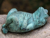 p4290428 1  seven_out