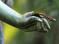 p4290430 1  seven_out