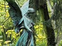 p4290433 1  seven_out