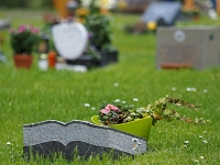 p4290435 1  seven_out