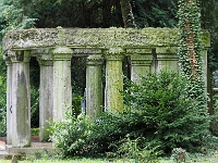 p4290436 1  seven_out