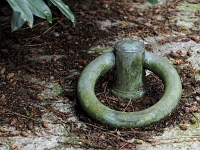 p4290439 1  seven_out