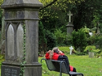 p4290443 1  seven_out