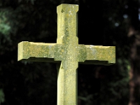 p4290453 1  seven_out