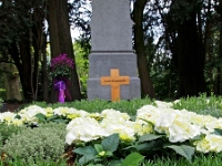 p4291225 1  seven_out