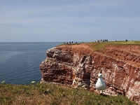 Helgoland
