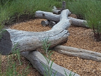 p9211104 f 1  IGA Berlin 2017