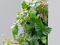 p9212930 f 1  IGA Berlin 2017