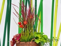 p9212933 f 1  IGA Berlin 2017