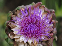 p9212967 f 1  IGA Berlin 2017