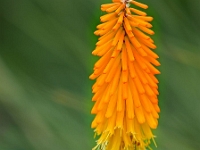 p9212977 f 1  IGA Berlin 2017