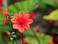 p9213004 f 1  IGA Berlin 2017