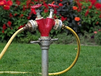 p9213025 f 1  IGA Berlin 2017